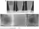 Fig. 02 - THIN-SHELL POLYMERIC NANOPARTICLES AND USES THEREOF