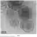 Fig. 09 - THIN-SHELL POLYMERIC NANOPARTICLES AND USES THEREOF