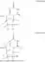 Fig. 49 - 4'-HALOGEN CONTAINING NUCLEOTIDE AND NUCLEOSIDE THERAPEUTIC COMPOSITIONS AND USES RELATED THERETO