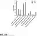 Fig. 22 - MICROORGANISMS PROGRAMMED TO PRODUCE IMMUNE MODULATORS AND ANTI-CANCER THERAPEUTICS IN TUMOR CELLS