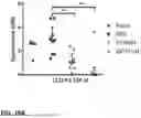 Fig. 34 - MICROORGANISMS PROGRAMMED TO PRODUCE IMMUNE MODULATORS AND ANTI-CANCER THERAPEUTICS IN TUMOR CELLS