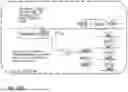 Fig. 49 - MICROORGANISMS PROGRAMMED TO PRODUCE IMMUNE MODULATORS AND ANTI-CANCER THERAPEUTICS IN TUMOR CELLS