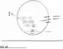 Fig. 76 - MICROORGANISMS PROGRAMMED TO PRODUCE IMMUNE MODULATORS AND ANTI-CANCER THERAPEUTICS IN TUMOR CELLS