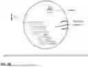 Fig. 77 - MICROORGANISMS PROGRAMMED TO PRODUCE IMMUNE MODULATORS AND ANTI-CANCER THERAPEUTICS IN TUMOR CELLS