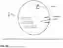 Fig. 79 - MICROORGANISMS PROGRAMMED TO PRODUCE IMMUNE MODULATORS AND ANTI-CANCER THERAPEUTICS IN TUMOR CELLS