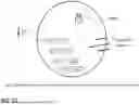 Fig. 80 - MICROORGANISMS PROGRAMMED TO PRODUCE IMMUNE MODULATORS AND ANTI-CANCER THERAPEUTICS IN TUMOR CELLS