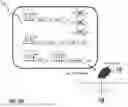 Fig. 89 - MICROORGANISMS PROGRAMMED TO PRODUCE IMMUNE MODULATORS AND ANTI-CANCER THERAPEUTICS IN TUMOR CELLS