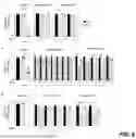 Fig. 09 - Bacteriophage compositions and methods for treatment of bacterial infections