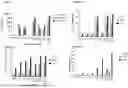 Fig. 02 - ADENOVIRUS ENCODING IL-15