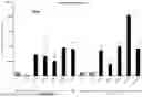 Fig. 37 - ADENOVIRUS ENCODING IL-15