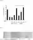 Fig. 02 - COMPOSITION FOR IMPROVING RESPIRATORY HEALTH CONTINUOUSLY EXPOSED TO PARTICULATE MATTER ATMOSPHERE