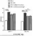 Fig. 43 - COMPOSITIONS AND METHODS FOR TREATING PULMONARY HYPERTENSION
