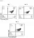 Fig. 11 - METHOD FOR PRODUCING IMMUNE CELL COMPOSITION