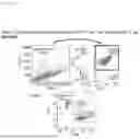 Fig. 13 - METHOD FOR PRODUCING IMMUNE CELL COMPOSITION