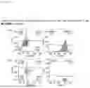 Fig. 16 - METHOD FOR PRODUCING IMMUNE CELL COMPOSITION