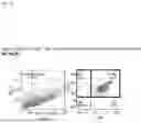 Fig. 19 - METHOD FOR PRODUCING IMMUNE CELL COMPOSITION