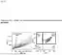 Fig. 21 - METHOD FOR PRODUCING IMMUNE CELL COMPOSITION