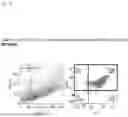Fig. 23 - METHOD FOR PRODUCING IMMUNE CELL COMPOSITION