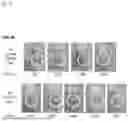 Fig. 29 - METHOD FOR PRODUCING IMMUNE CELL COMPOSITION