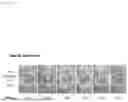 Fig. 36 - METHOD FOR PRODUCING IMMUNE CELL COMPOSITION