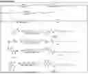 Fig. 01 - NOVEL COMPOUNDS PHOTO-CROSSLINKED BY VISIBLE LIGHT AND USES THEREOF