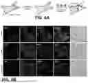 Fig. 17 - NOVEL COMPOUNDS PHOTO-CROSSLINKED BY VISIBLE LIGHT AND USES THEREOF