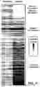 Fig. 22 - NOVEL COMPOUNDS PHOTO-CROSSLINKED BY VISIBLE LIGHT AND USES THEREOF