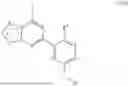 Fig. 06 - INHIBITORS OF RAF KINASES