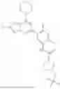 Fig. 43 - INHIBITORS OF RAF KINASES