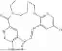 Fig. 167 - MACROCYCLES AND THEIR USE