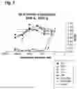 Fig. 04 - AMINO ACID SEQUENCES THAT MODULATE THE INTERACTION BETWEEN CELLS OF THE IMMUNE SYSTEM