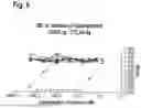 Fig. 07 - AMINO ACID SEQUENCES THAT MODULATE THE INTERACTION BETWEEN CELLS OF THE IMMUNE SYSTEM