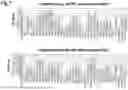 Fig. 08 - AMINO ACID SEQUENCES THAT MODULATE THE INTERACTION BETWEEN CELLS OF THE IMMUNE SYSTEM
