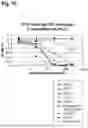 Fig. 11 - AMINO ACID SEQUENCES THAT MODULATE THE INTERACTION BETWEEN CELLS OF THE IMMUNE SYSTEM