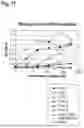 Fig. 12 - AMINO ACID SEQUENCES THAT MODULATE THE INTERACTION BETWEEN CELLS OF THE IMMUNE SYSTEM
