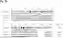 Fig. 40 - AMINO ACID SEQUENCES THAT MODULATE THE INTERACTION BETWEEN CELLS OF THE IMMUNE SYSTEM
