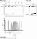 Fig. 17 - METHODS AND COMPOSITIONS FOR DETECTING A TARGET RNA