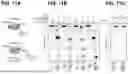 Fig. 18 - METHODS AND COMPOSITIONS FOR DETECTING A TARGET RNA