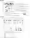 Fig. 25 - METHODS AND COMPOSITIONS FOR DETECTING A TARGET RNA