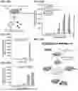 Fig. 35 - METHODS AND COMPOSITIONS FOR DETECTING A TARGET RNA