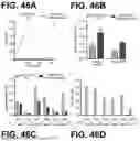 Fig. 55 - METHODS AND COMPOSITIONS FOR DETECTING A TARGET RNA