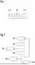 Fig. 02 - Method for Determining at least One System State by Means of a Kalman Filter
