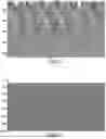 Fig. 09 - Digital seismic file scanner