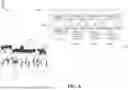 Fig. 12 - System and Method for Detecting and Explaining Anomalies in Video of a Scene