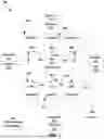 Fig. 02 - AUGMENTED REALITY OF A  BUILDING