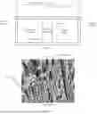 Fig. 02 - ADVANCED MULTIFUNCTIONAL BATTERY SEPARATOR MEMBRANES FOR NOVEL LIQUID ELECTROLYTES AND METHODS OF USE THEREOF