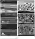 Fig. 06 - ADVANCED MULTIFUNCTIONAL BATTERY SEPARATOR MEMBRANES FOR NOVEL LIQUID ELECTROLYTES AND METHODS OF USE THEREOF