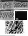 Fig. 07 - ADVANCED MULTIFUNCTIONAL BATTERY SEPARATOR MEMBRANES FOR NOVEL LIQUID ELECTROLYTES AND METHODS OF USE THEREOF