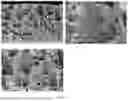 Fig. 08 - ADVANCED MULTIFUNCTIONAL BATTERY SEPARATOR MEMBRANES FOR NOVEL LIQUID ELECTROLYTES AND METHODS OF USE THEREOF
