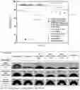 Fig. 09 - ADVANCED MULTIFUNCTIONAL BATTERY SEPARATOR MEMBRANES FOR NOVEL LIQUID ELECTROLYTES AND METHODS OF USE THEREOF